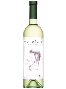 Caloian Pinot Grigio 2022 | Crama Oprisor | Plaiurile Drancei